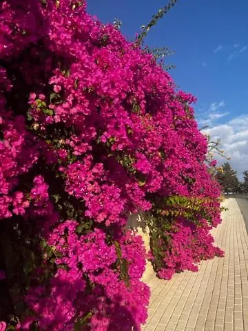 Διαμέρισμα 2 Palaepaphos Gardens Κούκλια